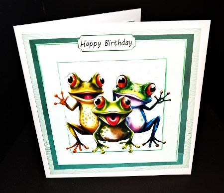 Green Dot 8x8 Frames Card Fronts With Frog (TWO) by Diane  Hitchcox
