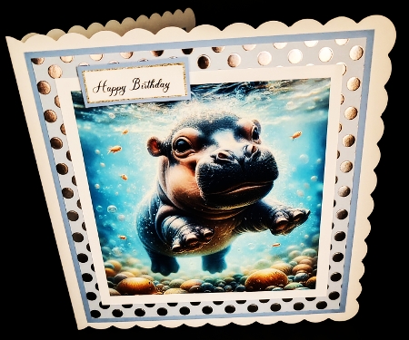 Baby Hippo by Diane  Hitchcox