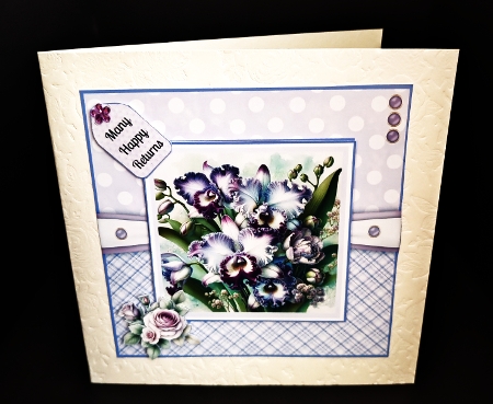 Opulant Orchids by Diane  Hitchcox