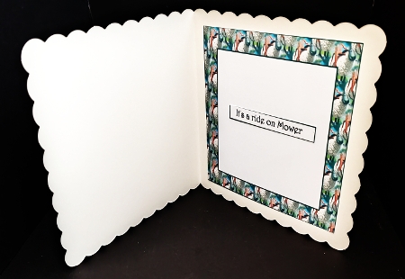 Be careful what you wish for insert by Diane  Hitchcox