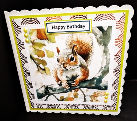 4 x Playful Squirrel Perched on a Tree Branch (4096px x 4096px, 300dpi, .png files) by Diane  Hitchcox