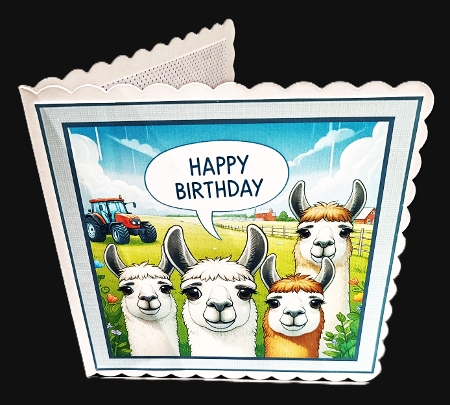 just llamas by Diane  Hitchcox