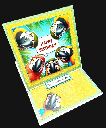 just budgies toppers by Diane  Hitchcox