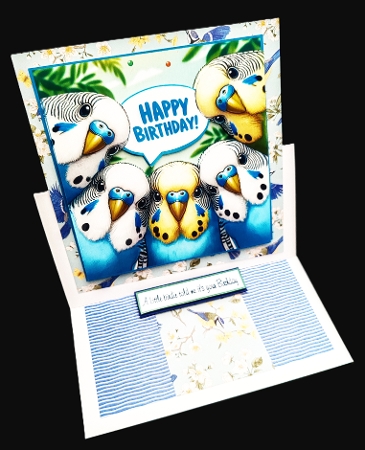 just budgies toppers by Diane  Hitchcox