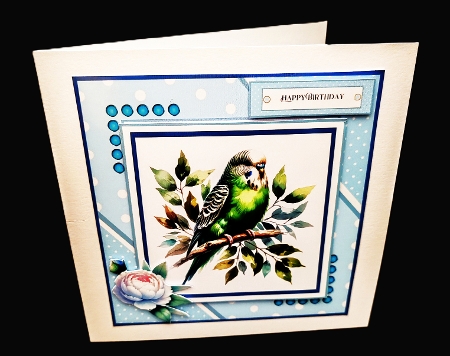 Cute Budgerigars by Diane  Hitchcox