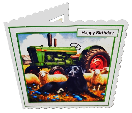 watching sheep by Diane  Hitchcox