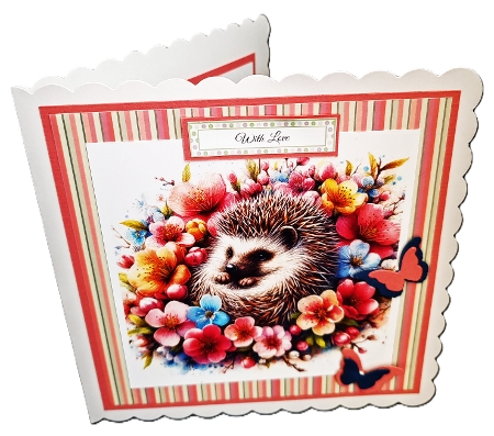 Sleeping hedgehog  by Diane  Hitchcox
