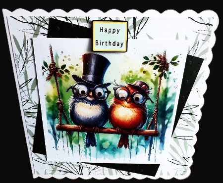 Funny Birds on a swing  - Illustrations for Cards by Diane  Hitchcox
