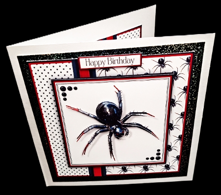 Spider by Diane  Hitchcox