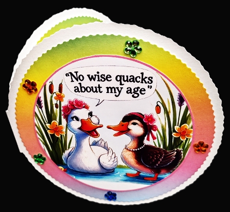 quick toppers for all occasions female by Diane  Hitchcox