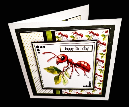 Ant by Diane  Hitchcox