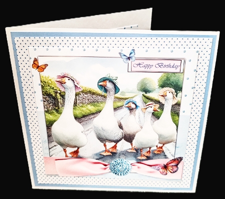 Ladies mixed set 1 by Diane  Hitchcox