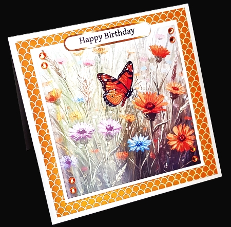 Butterfly Meadow by Diane  Hitchcox