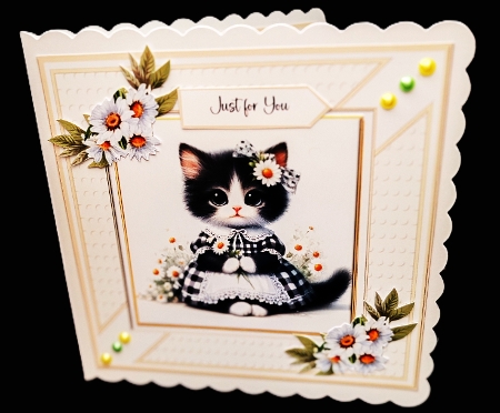 Daisy the Kitten by Diane  Hitchcox