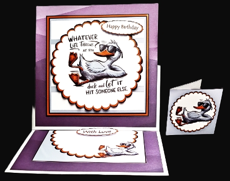 Just DUCK by Diane  Hitchcox