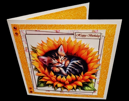Sunflower Kitten,  Mothers day and Birthday by Diane  Hitchcox