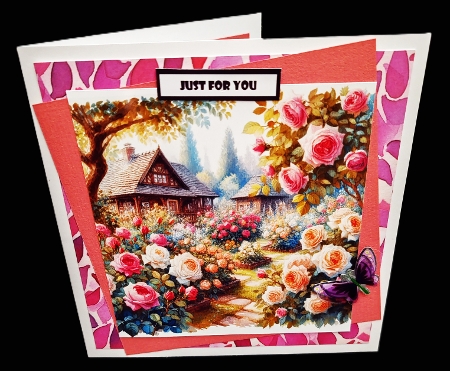 Rose garden by Diane  Hitchcox