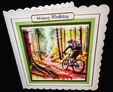 mountain biking green by Diane  Hitchcox