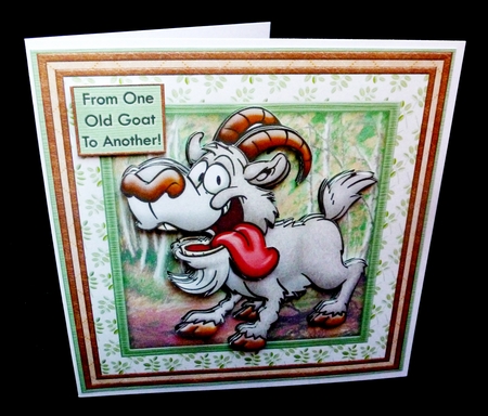 From One Old Goat to Another Birthday Ages Retirement Mini K by Diane  Hitchcox
