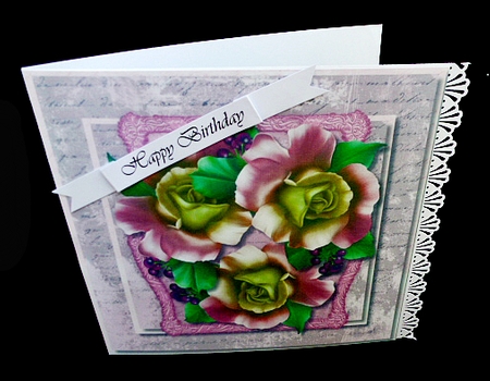 Lovely Roses on a Pink Script Frame  by Diane  Hitchcox