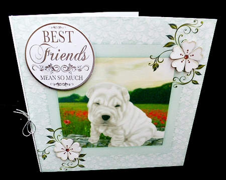 Sweet Honey Loves Her Walks by Diane  Hitchcox