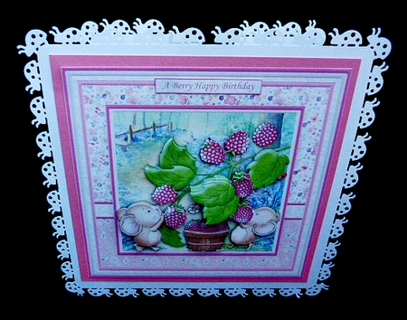 RASPBERRY FUN 8x8 Decoupage Mini Kit Various Occasions by Diane  Hitchcox
