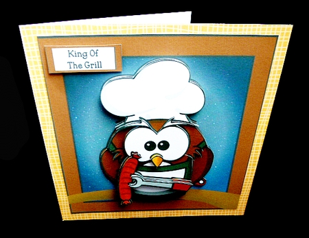 The Barbecue Chef Owl by Diane  Hitchcox