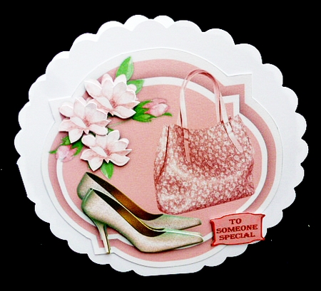Lovely Pink shoes and Bag on a Shaped Mat 3 by Diane  Hitchcox