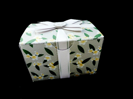 Gift Box Frangipani on a Taupe Background with Bow Decoupage by Diane  Hitchcox