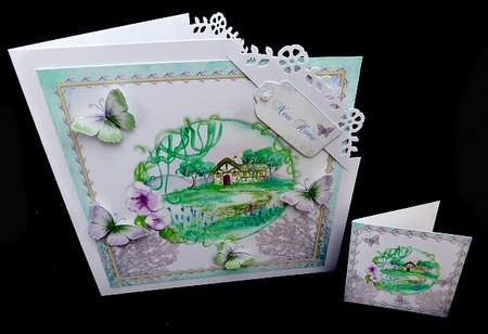 New Home by Diane  Hitchcox