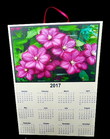 Clematis yellow by Diane  Hitchcox