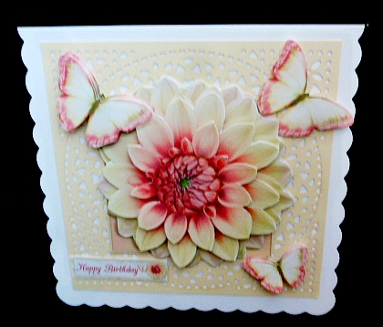 The Flower by Diane  Hitchcox