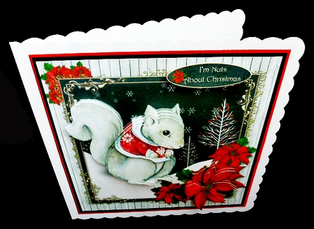 Im Nuts about Christmas by Diane  Hitchcox