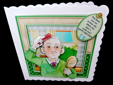 The Comb Over by Diane  Hitchcox
