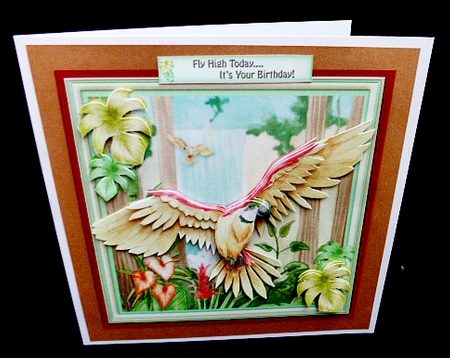 Fly High by Diane  Hitchcox