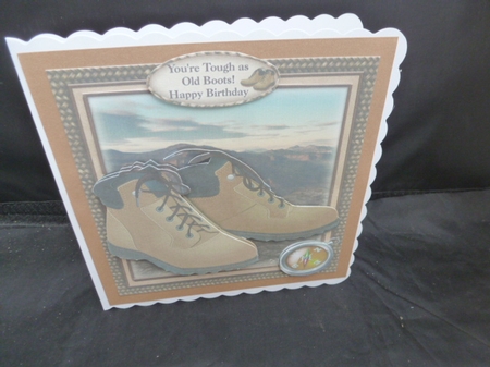 Youre Tough as Old Boots by Diane  Hitchcox