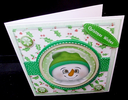 Snowman in Stitched Frame  3 by Diane  Hitchcox