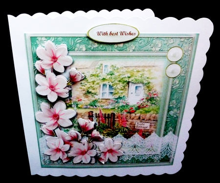New Home & Magnolias by Diane  Hitchcox