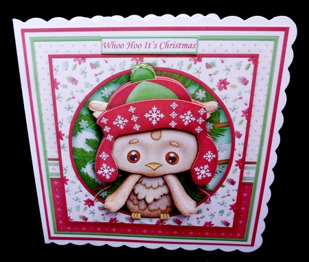 WHOO HOO ITS CHRISTMAS 8x8 Owl Decoupage & Insert Mini Kit by Diane  Hitchcox