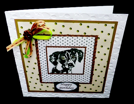 Black and white dog 8 x 8 inch card front. by Diane  Hitchcox