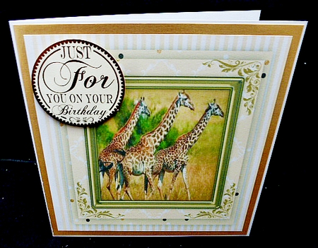 Beautiful Giraffes i a Gold Frame  by Diane  Hitchcox