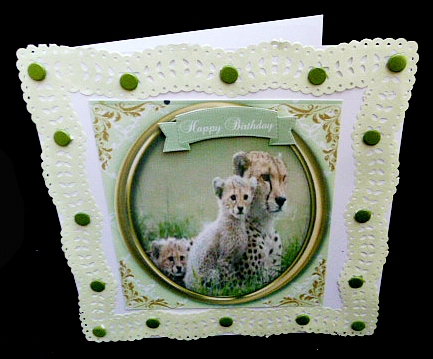 Beautiful Leopard Family in a Gold Frame  by Diane  Hitchcox