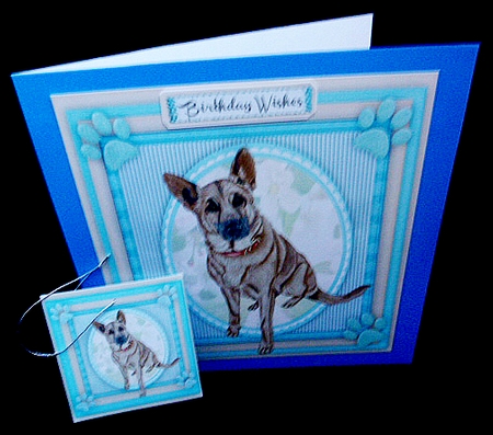 Beautiful German Sherherd Dog  by Diane  Hitchcox