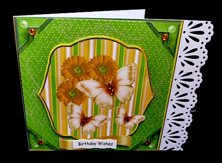 Dasies and Butterflies Card Front by Diane  Hitchcox