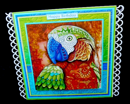 PARROT 8x8 Decoupage & Insert Mini Kit by Diane  Hitchcox