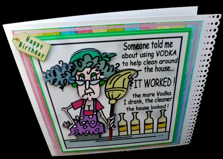 Vodka Helps Clean The House by Diane  Hitchcox