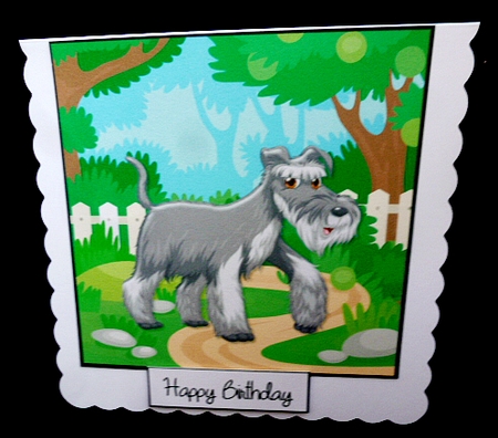 Schnauzer by Diane  Hitchcox