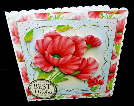 Red Poppies 8 x 8 by Diane  Hitchcox