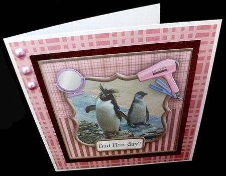 Funny Penguins Bad Hair Day various Occasions Card Topper by Diane  Hitchcox