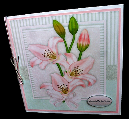 Beautiful Lilies 1 by Diane  Hitchcox